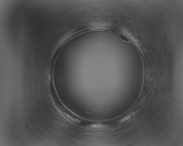 X0000084010059200702232215