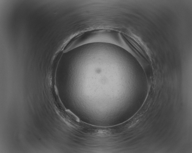 X0000084010060200702232215