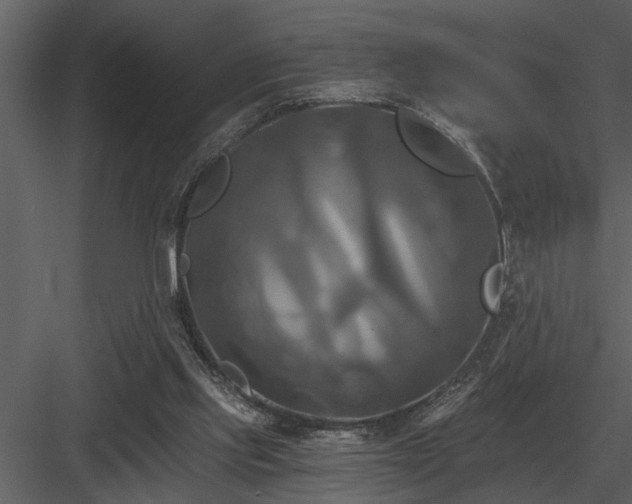 X0000084010061200702232215