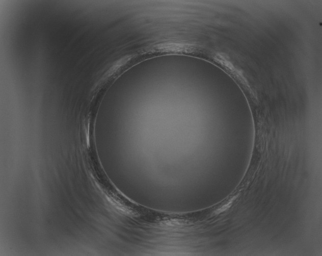 X0000084010062200702232215