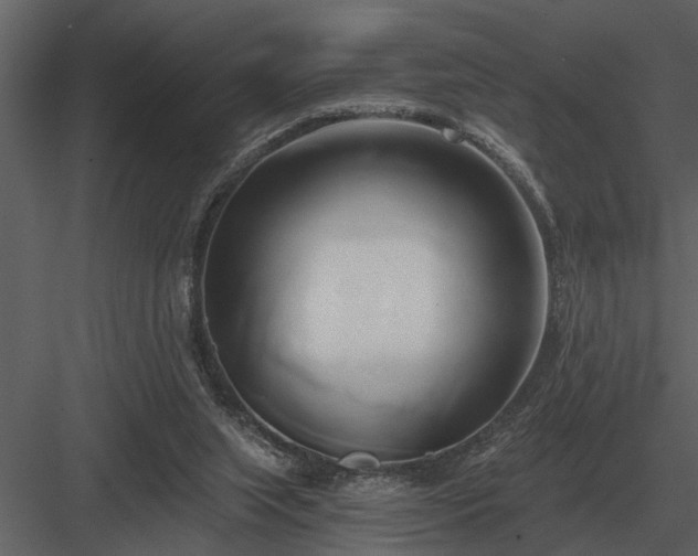 X0000084010063200702232215