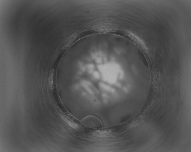 X0000084010065200702232215