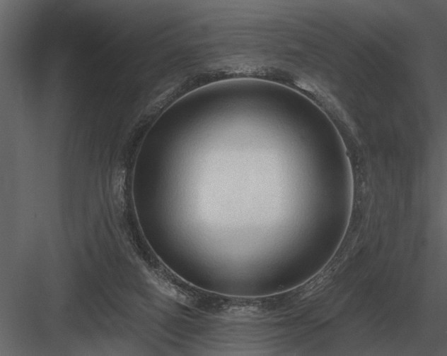 X0000084010066200702232215