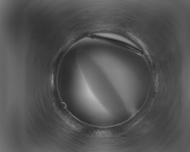 X0000084010067200702232215