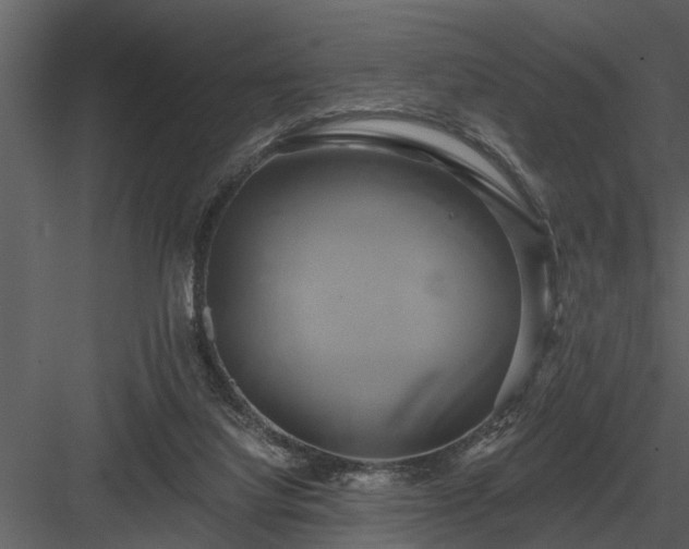 X0000084010068200702232215