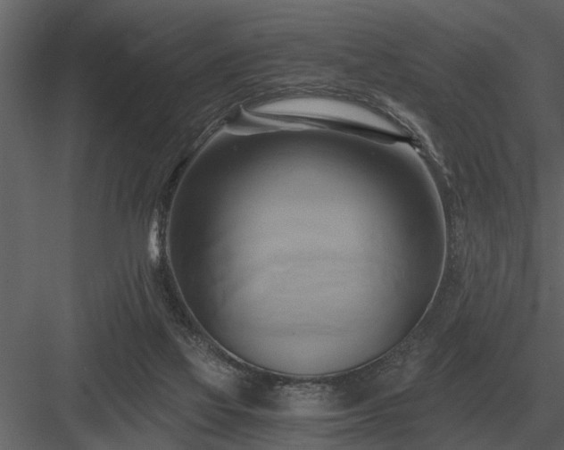 X0000084010069200702232215