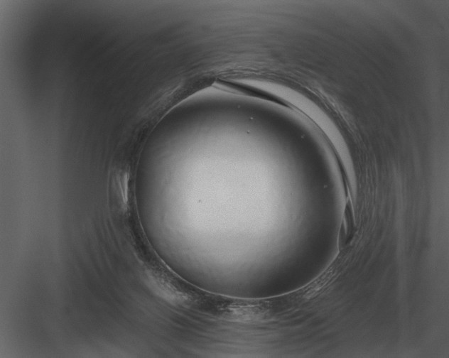 X0000084010070200702232215