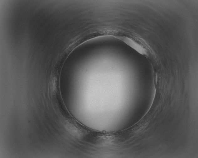 X0000084010071200702232215