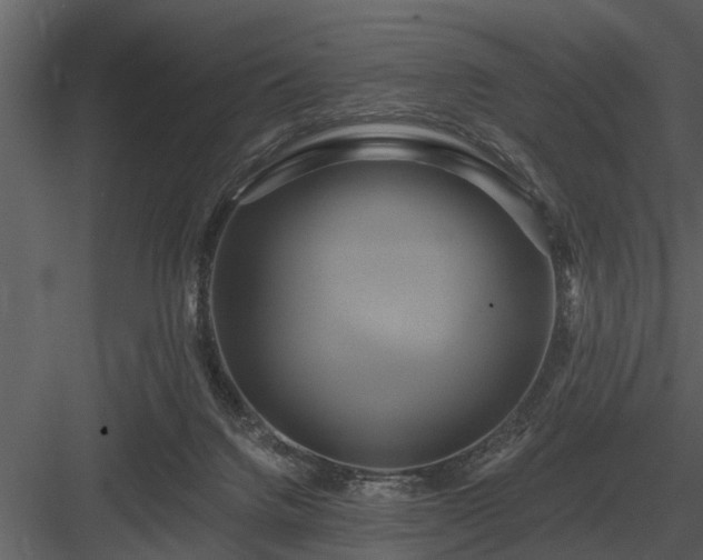 X0000084010072200702232215