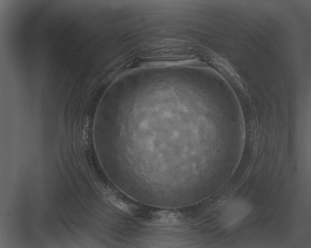 X0000084010073200702232215