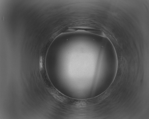 X0000084010075200702232215