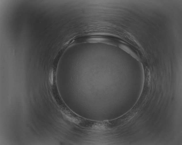 X0000084010076200702232216