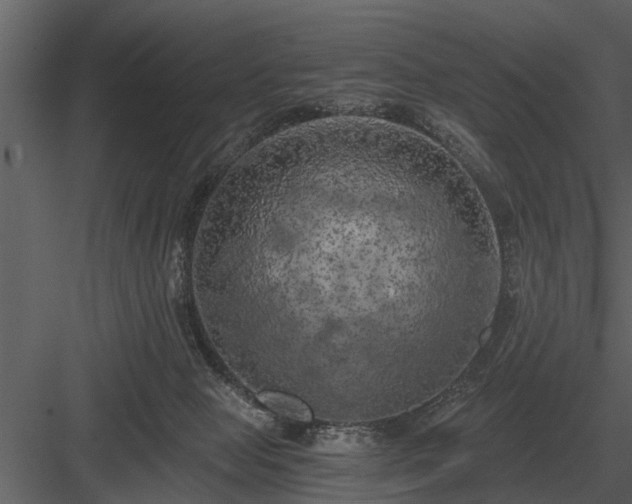 X0000084010077200702232216