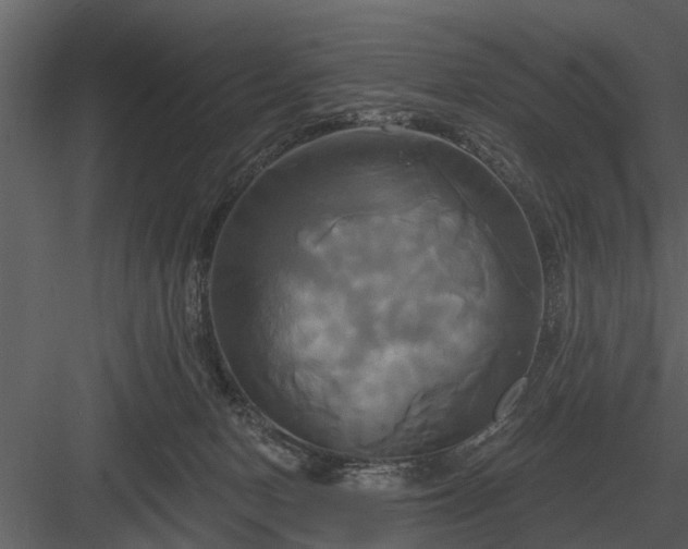 X0000084010078200702232216