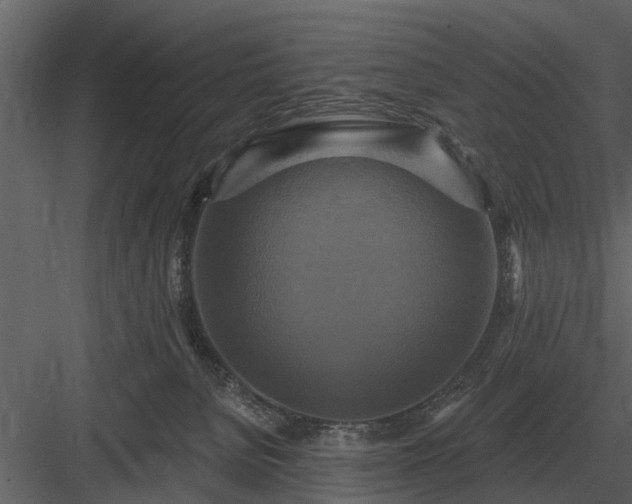 X0000084010080200702232216