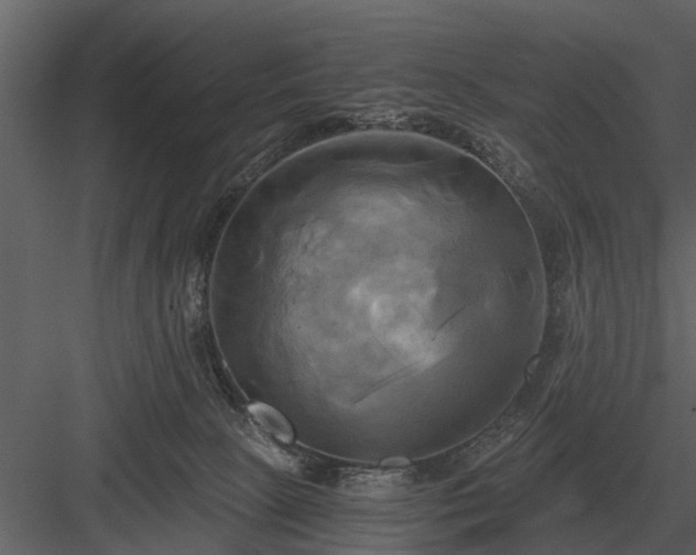 X0000084010081200702232216