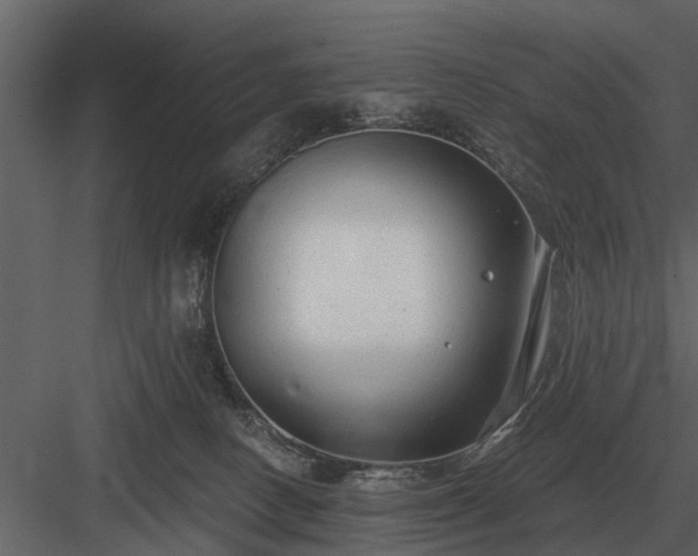 X0000084010082200702232216