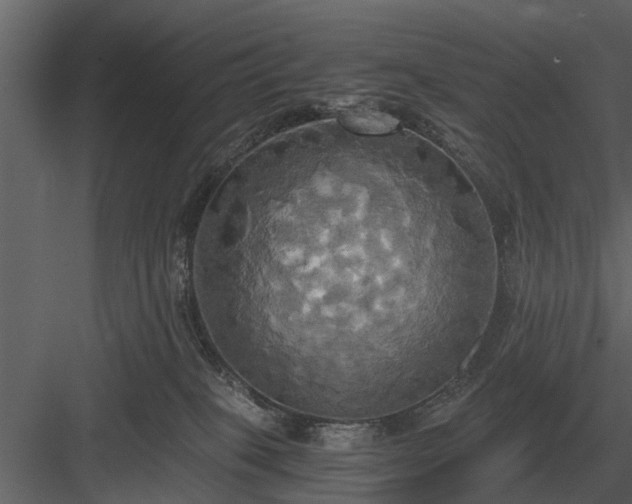 X0000084010085200702232216