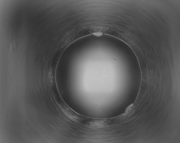 X0000084010086200702232216