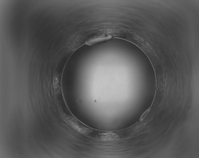 X0000084010087200702232216