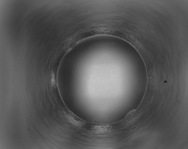 X0000084010089200702232216