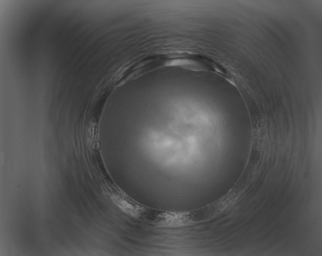 X0000084010093200702232216