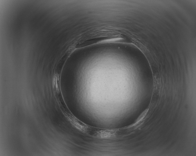 X0000084010094200702232216