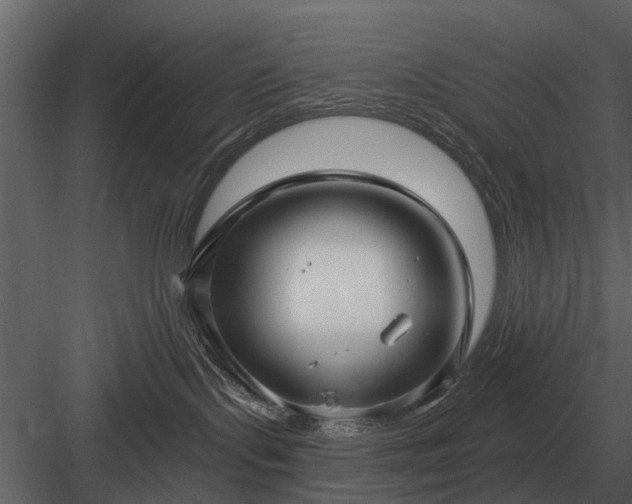 X0000084010095200702232216