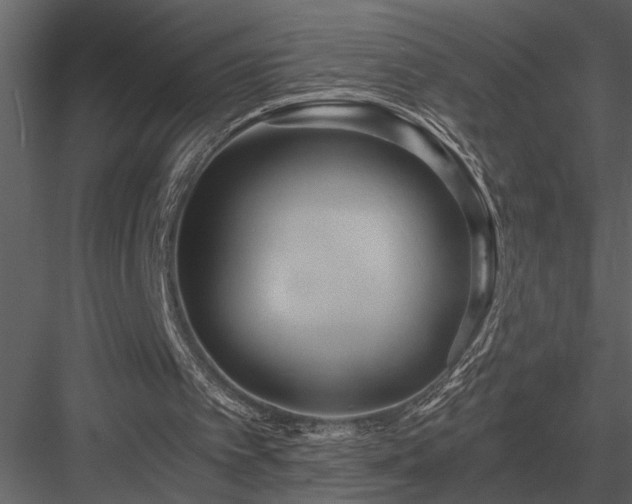 X0000084010097200702232215