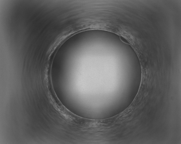 X0000084010098200702232215