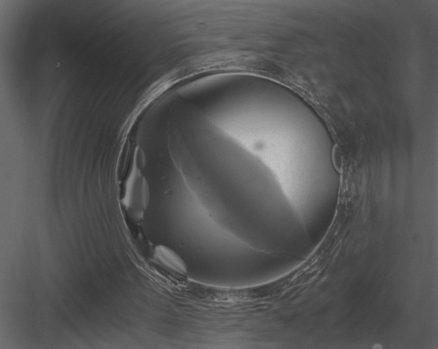 X0000084010099200702232215