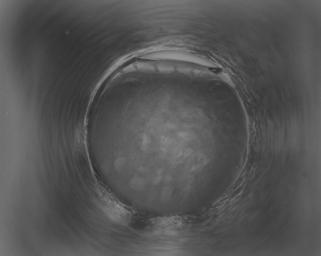 X0000084010100200702232215