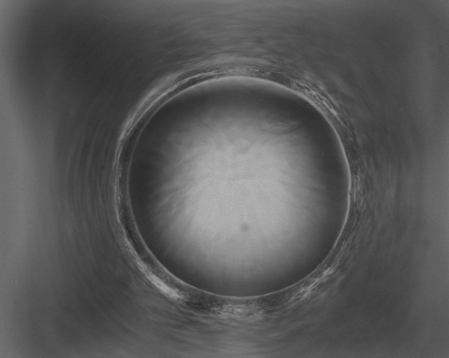 X0000084010101200702232215