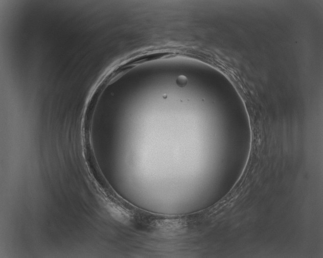 X0000084010102200702232215