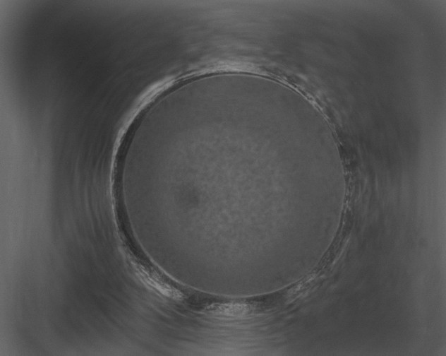 X0000084010104200702232215