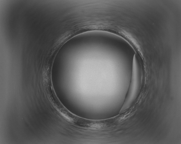 X0000084010105200702232215