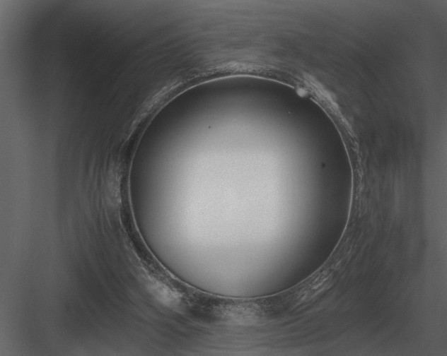 X0000084010106200702232215