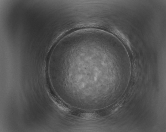 X0000084010107200702232215