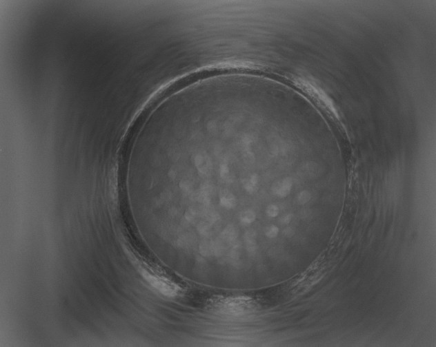 X0000084010108200702232215