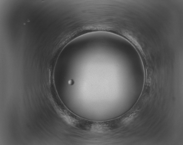 X0000084010109200702232215