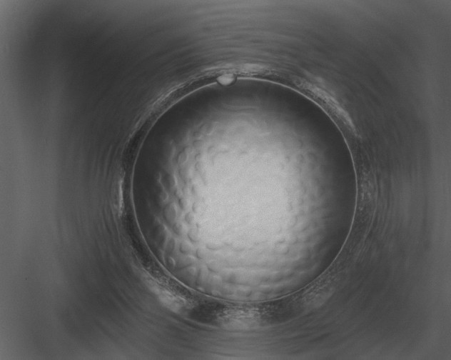 X0000084010110200702232215