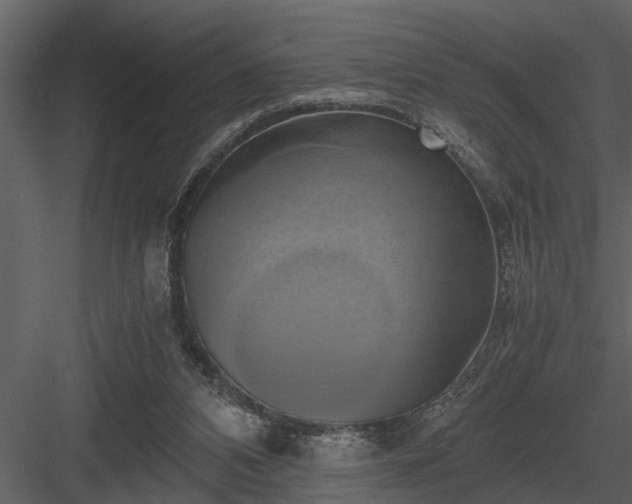 X0000084010112200702232215