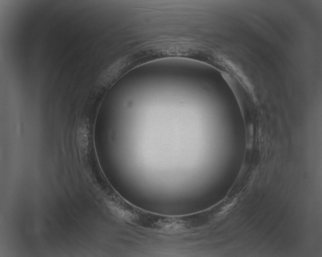 X0000084010113200702232215