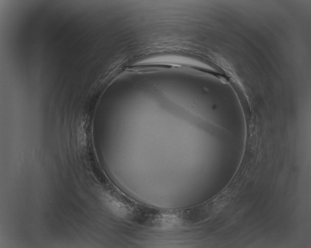 X0000084010114200702232215