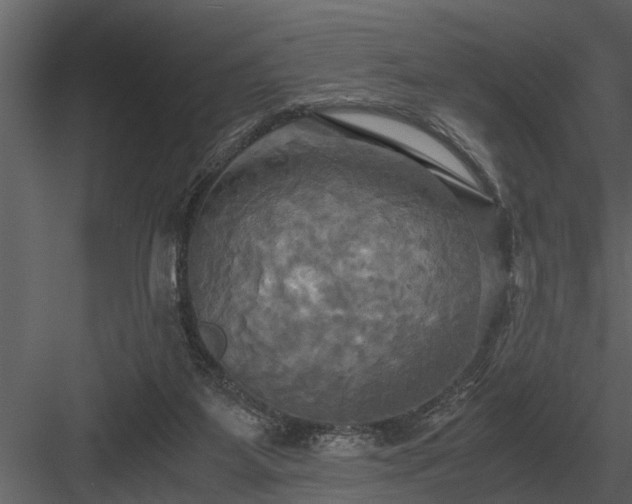 X0000084010115200702232215