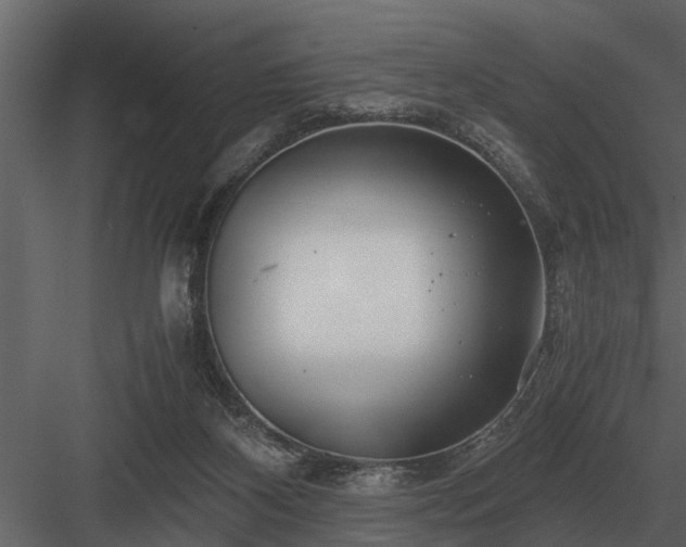 X0000084010116200702232215