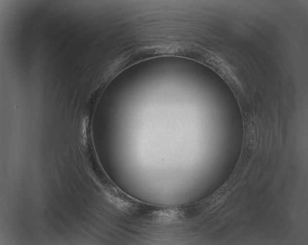 X0000084010118200702232215