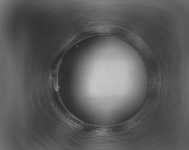 X0000084010120200702232215