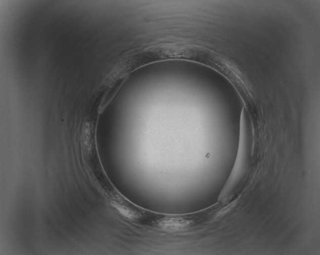 X0000084010121200702232215