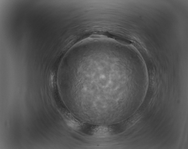 X0000084010123200702232215